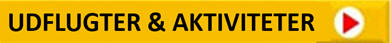 Udflugter og aktiviteter