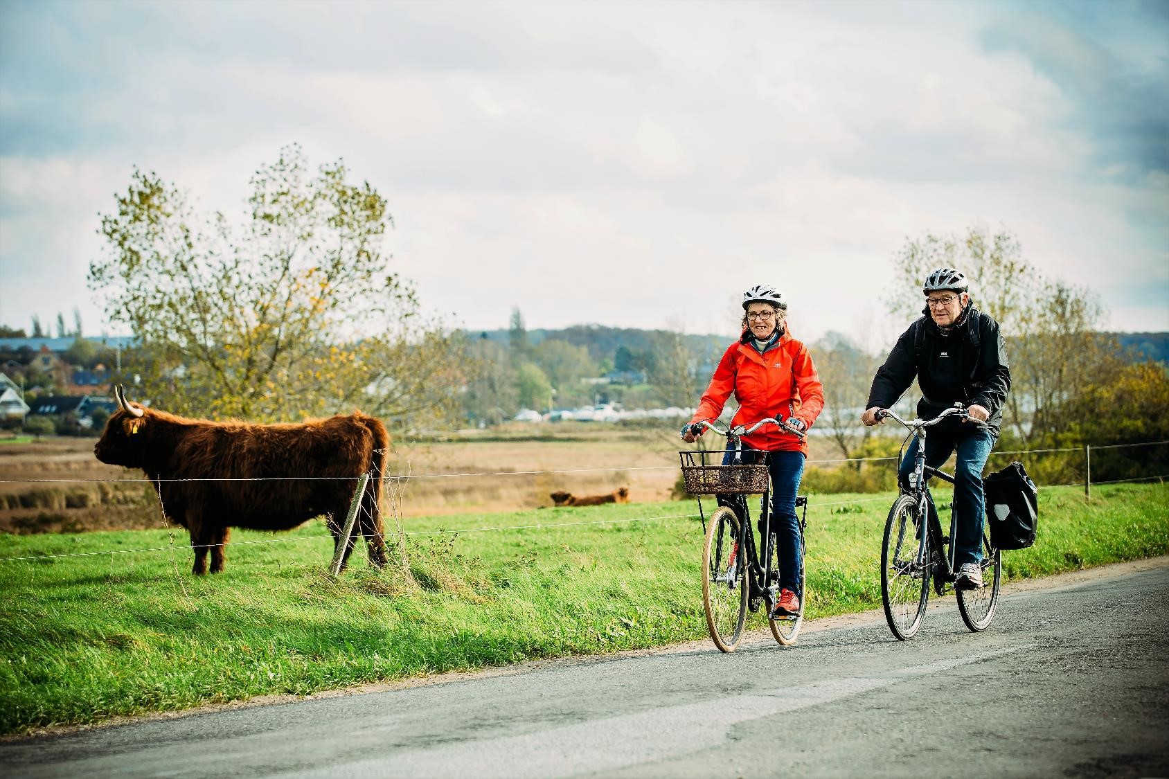 Oplev det smukke Ærøske landskab fra cykel